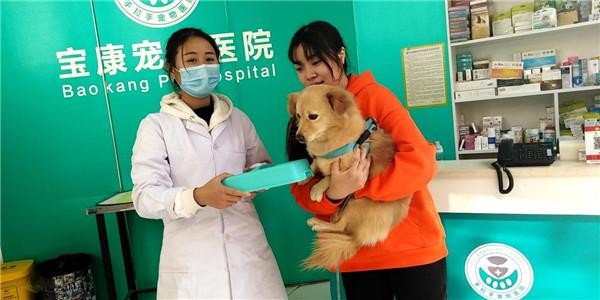 金水养犬办证年审活动开始啦！最全最细的爱犬办证事宜都在这儿