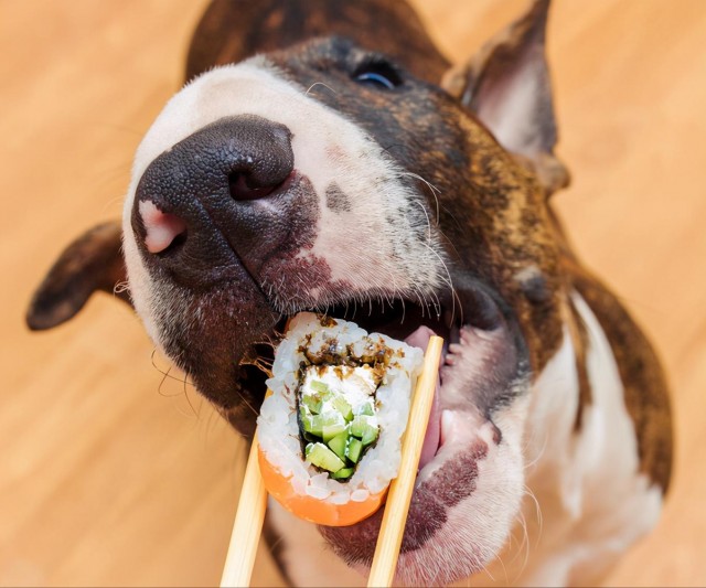 这些食物对狗狗来说也是很有帮助的！营养高且便宜